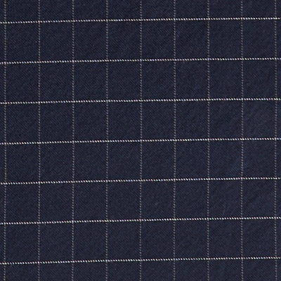 Navy Check #765