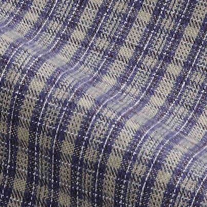 Indigo Check #737
